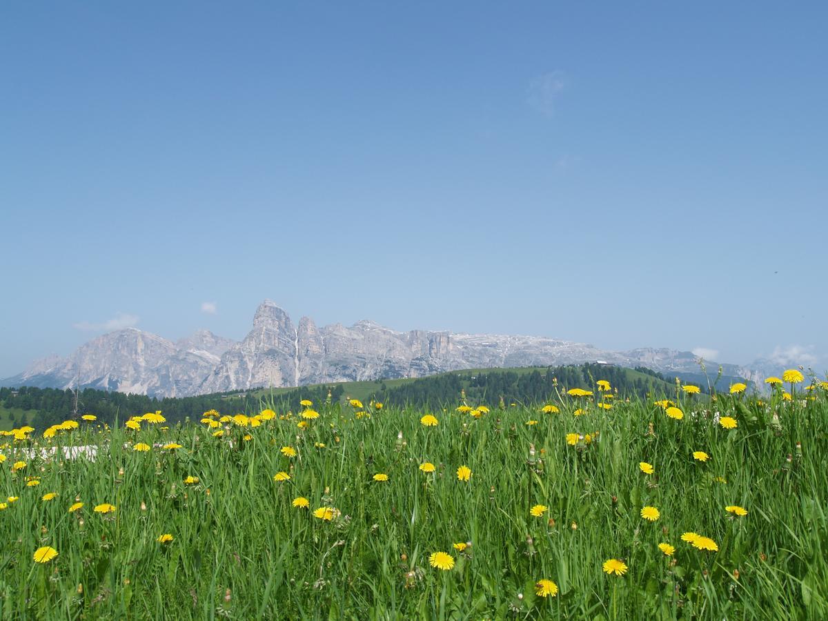 Residence Vajolet San Cassiano Buitenkant foto