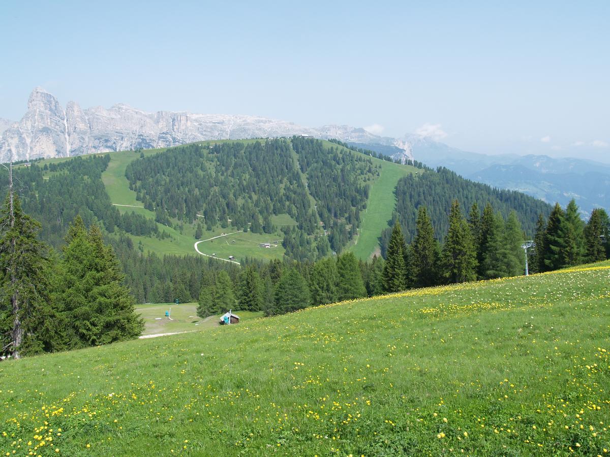 Residence Vajolet San Cassiano Buitenkant foto